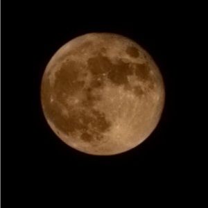 Meet your Posher, Isabella